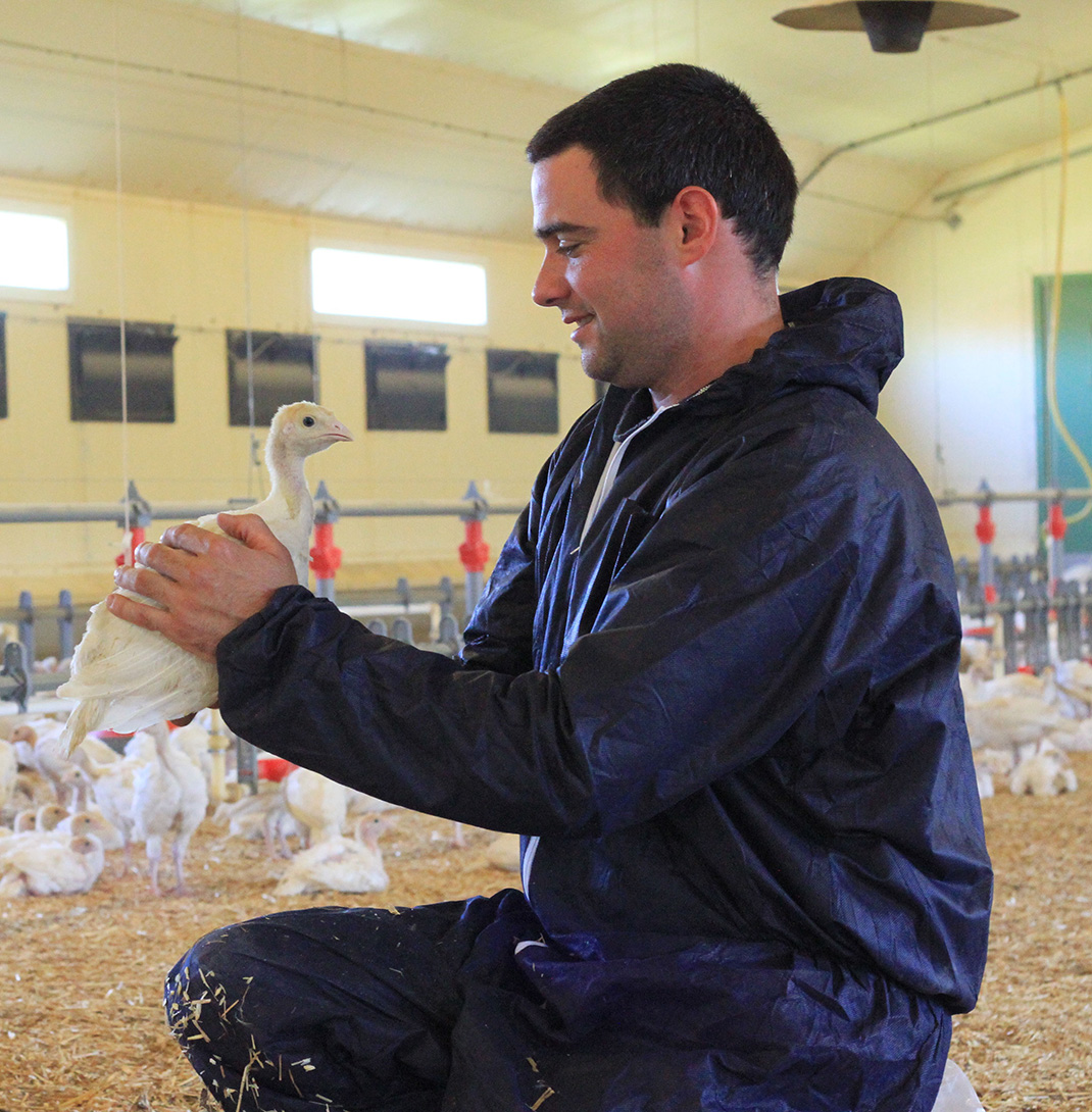 Un éleveur caressant une de ses poules