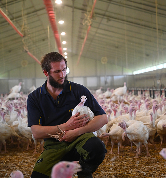 Un éleveur tenant une poule est assis dans un poulailler