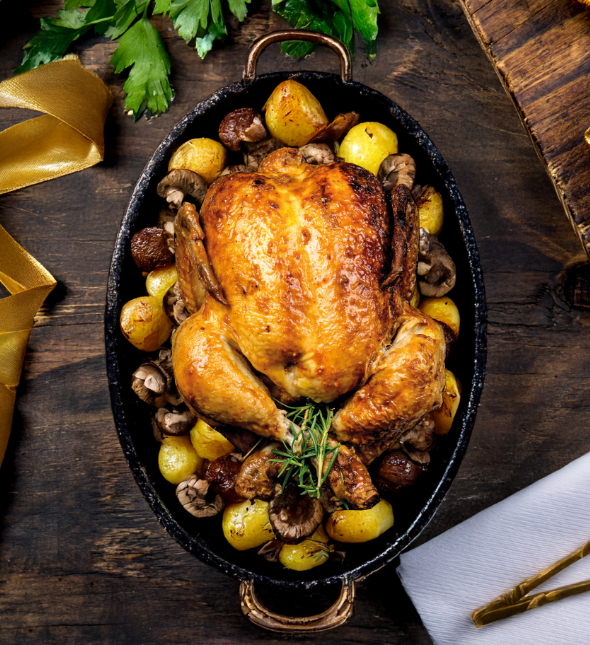 Chapon Le Gaulois Professionnel