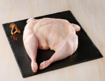 Les différentes gammes de paletot - Le Gaulois Professionnel