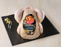 Les différents chapons - Le Gaulois Professionnel